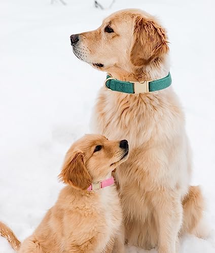 Ewinoom Soft Dog Collar With Metal Buckle Adjustable Durable Comfort Cotton Corduroy Collars For Large Medium Small Dogs Velvet Dog Collars, Bottle Green #TOP4