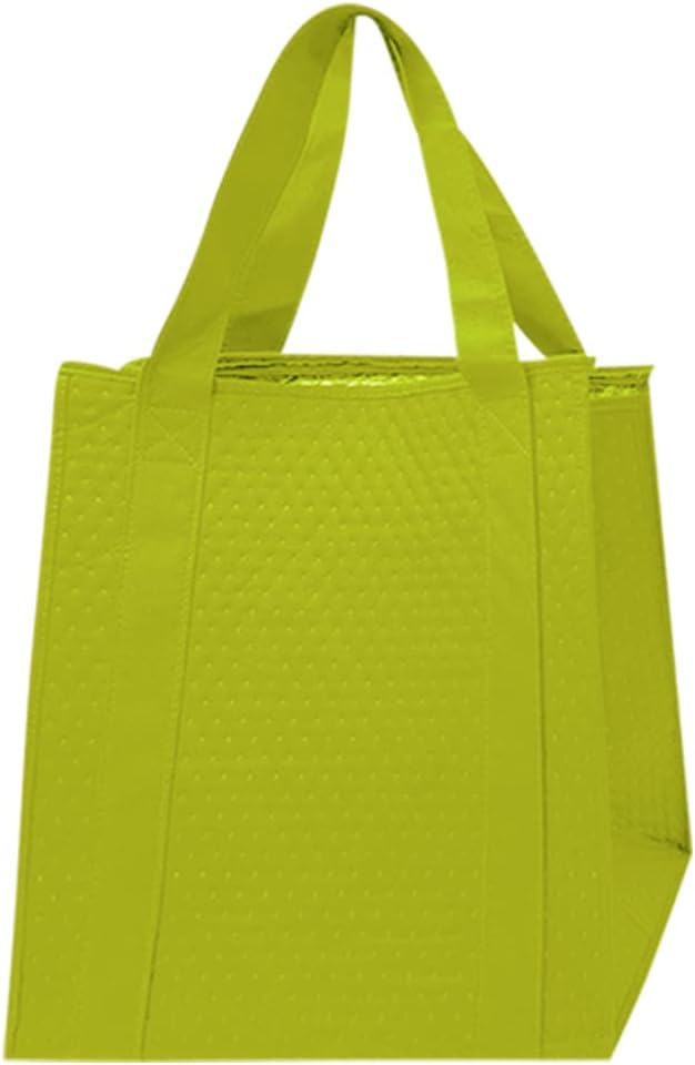 Gift Expressions Insulated Reusable Grocery Food Bag w/Bottom board, Large,Zippered Top, Recycled Materal … (2CT, Olive)