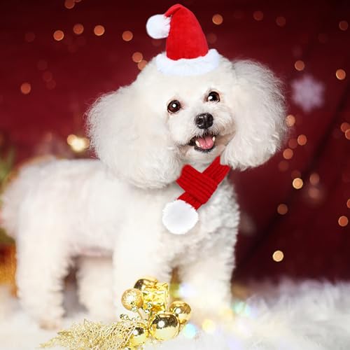 GOYOSWA Roupa de Natal para gatos, chapéu de Papai Noel e cachecol ajustável de malha para cães e ga