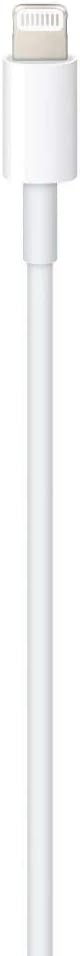 Apple Lightning to USB-C Cable (1 m)