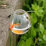 Eine robuste Wanddekoration: Unsere transparenten Aquarien sind aus robustem, klarem Glas gefertigt und bieten ein hochauflösendes Seherlebnis und sind bei richtiger Pflege langlebig.