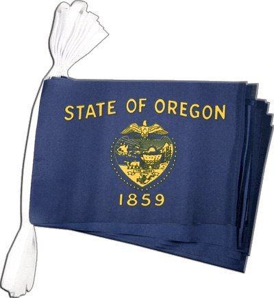 Guirlande drapeau USA Oregon Digni 5,9 m fanion deco etats unis