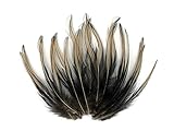 10 Pieces - Tan Laced 4-7' Long Rooster Cape Feathers Fly Tying Whiting BLW Rooster Saddle | Moonlight Feather