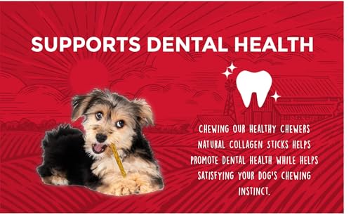 Rewardables | Healthy Chewers | Natural Collagen and Beef Sticks for Dogs | 100 Count | High Protein and Limited Ingredient Dog Chews - Thumbnail 3