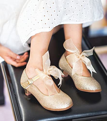 Image of THEE BRON Girls Low Heel Dress Shoes Mary Jane Party Wedding Flower Girl Pumps
