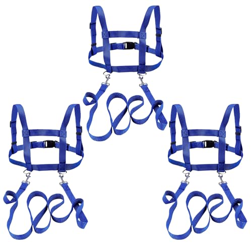 3 Stück Pferdeleine zum Spielen für Kinder Blau Pferdeleine Pferdeleine Spielzeug Pferde Longierleine Pferdegeschirr für Kinder zum Spielen Harness für Jungen und Mädchen