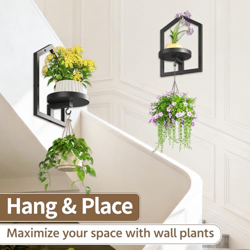 50% Off LASZOLA 3-Pack Wall Shelf Plant Holders - Image 5