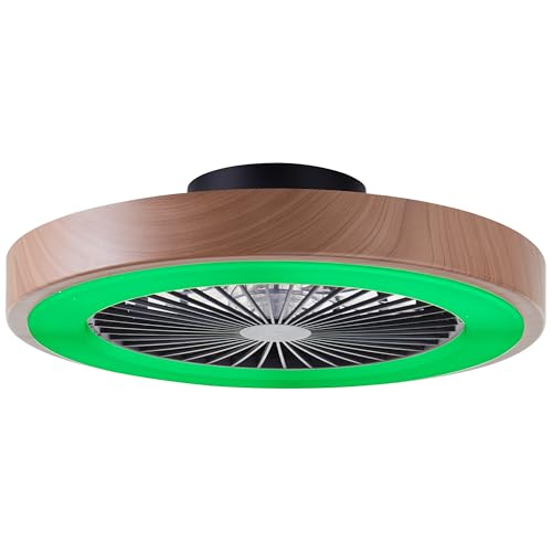 Plafonnier ventilateur LED RGB CCT télécommande plafonnier bois 49 cm - 6