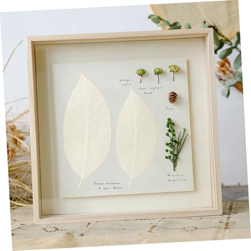 Decoración de hojas naturales para manualidades y scrapbook miniatura 4