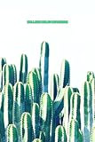  College Ruled Notebook: All Amazing Funny Cactus Planner V2 Reading Redbubble Running Home Organizer Lifestyle Sheet Buyart Hand Decor House For Left Handed Geniuses Blank Lined Wide Journal