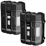 Reoben BA2800T 56V Lithium Battery Replacement for EGO Battery 56 Volt 5.0Ah