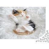 🔔【Largement utilisé】 : les puzzles artistiques sont un moyen amusant et peu coûteux de profiter de belles œuvres d'art de première main ! Utiliser pour améliorer les compétences : coordination œil-main, mémoire d'exercice, soulager le stress, etc.