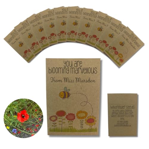 10 x Teacher to Pupil Seed Gift Packets Contains Wildflower Class Gift End of Year Term Present for Students from Teachers to Show Appreciation Primary School Leavers Personalised