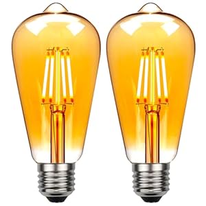 TIANFAN 2 Pack Led-lampen ST64 Edison Bulb 6W Warmte Glow Vintage Decoratieve Gloeilamp