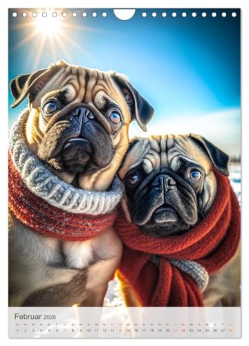 Mein Mops-Kalender (Wandkalender 2026 DIN A4 hoch), CALVENDO Monatskalender: Der Mops ist eine kleine bis mittlere Hunderasse mit einem runden Kopf, ... Fell und kurzer Nase. (CALVENDO Tiere)