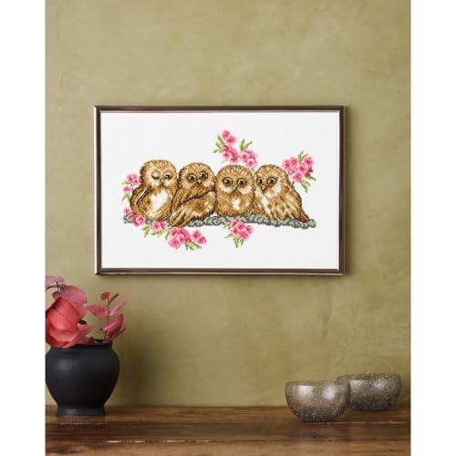 Kit de broderie au point de croix chouettes 30x20 cm pour canevas DIY