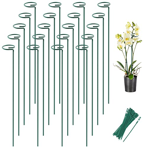 20 Pack 24 Inch Plant Support Stakes for Outdoor Plants and Indoor Flowers