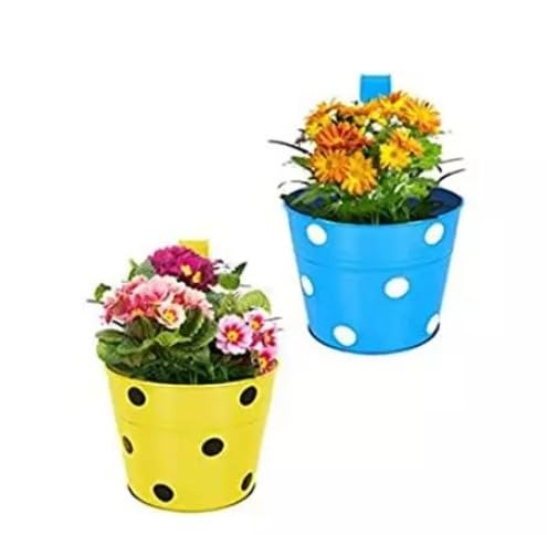 See full amazon price history chart for 2Brothers Point Metal Pot Railing Planter with Polka Dots (Pack of 2) - (Multicolour) Dotted Metal Planters for Balcony and Home Gardening, Indoor, Outdoor Garden Plant | 2Brothers Point Metal Pot Railing Planter with Polka Dots (Pack of 2) - (Multicolour) Dotted Metal Planters for Balcony and Home Gardening, Indoor, Outdoor Garden Plant | (B0CXJKHHFK) Amazon Price History, Amazon Price Tracker