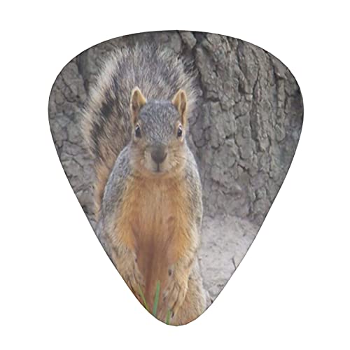 Squirrel Lot de 12 médiators pour guitare basse électrique acoustique - Les Beatles, Paul McCartney, John Lennon, RIngo Starr, George Harrison Squirrel Lot de 12 médiators pour guitare basse électrique acoustique