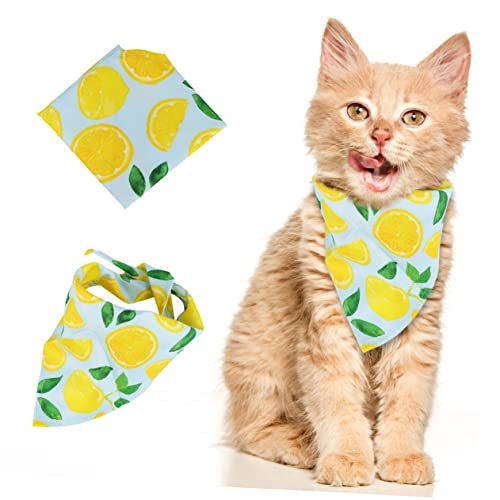 Kisangel 2stücke Pet Bandanas Dreieckstuch Für Hunde Und Katzen Stylisches Halstuch Für Jede Gelegenheit Leicht Zu Tragen Modisch Und Niedlich Für Feste Und Saisonale Anlässe