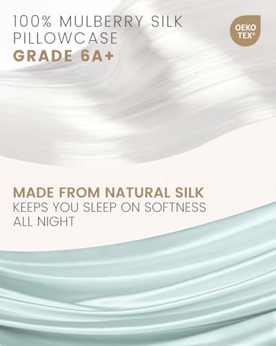 THXSILK Set of 2 100% Mulberry Silk Pillowcase for Hair and Skin Health, Soft Breathable and Smooth Pillowcases with Hidden Zipper, Both Sides Premium Grade 6A+ Silk, Standard 20"x26", Light Blue