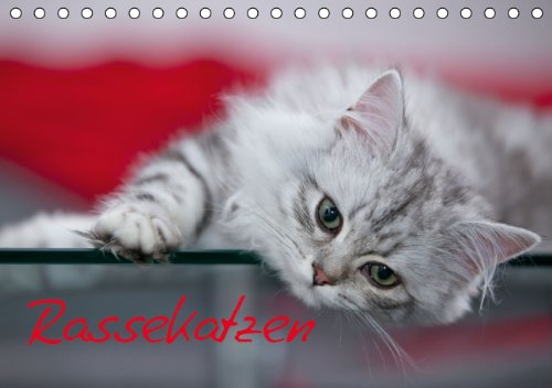 Rassekatzen (Tischkalender 2014 DIN A5 quer): Wunderschöne und liebenswürdige Samtpfoten (Tischkalender, 14 Seiten)