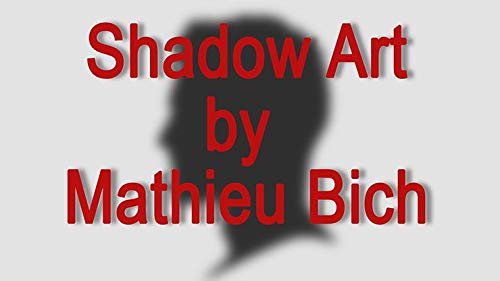 Murphy's Magic Supplies, Inc. Shadow Art (Bat Man) by Mathieu Bich - Trick