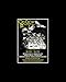 Produktbild Mini-Poster, Motiv: Old Crow Medicine Show  Performing Blonde On Blonde Juni 2017, 25,4 x 20,3 cm