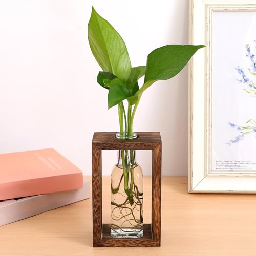 Boutures et terrarium : le support robuste en bois contre les chutes - 7