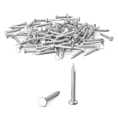 100Pcs 25mm Nails for Wood, Wood Nails, Galvanized Concrete Wall Nail, Masonry Nails, Picture Nails for Carpentry & DIY, Hanging Pictures and Woodworking-Silver