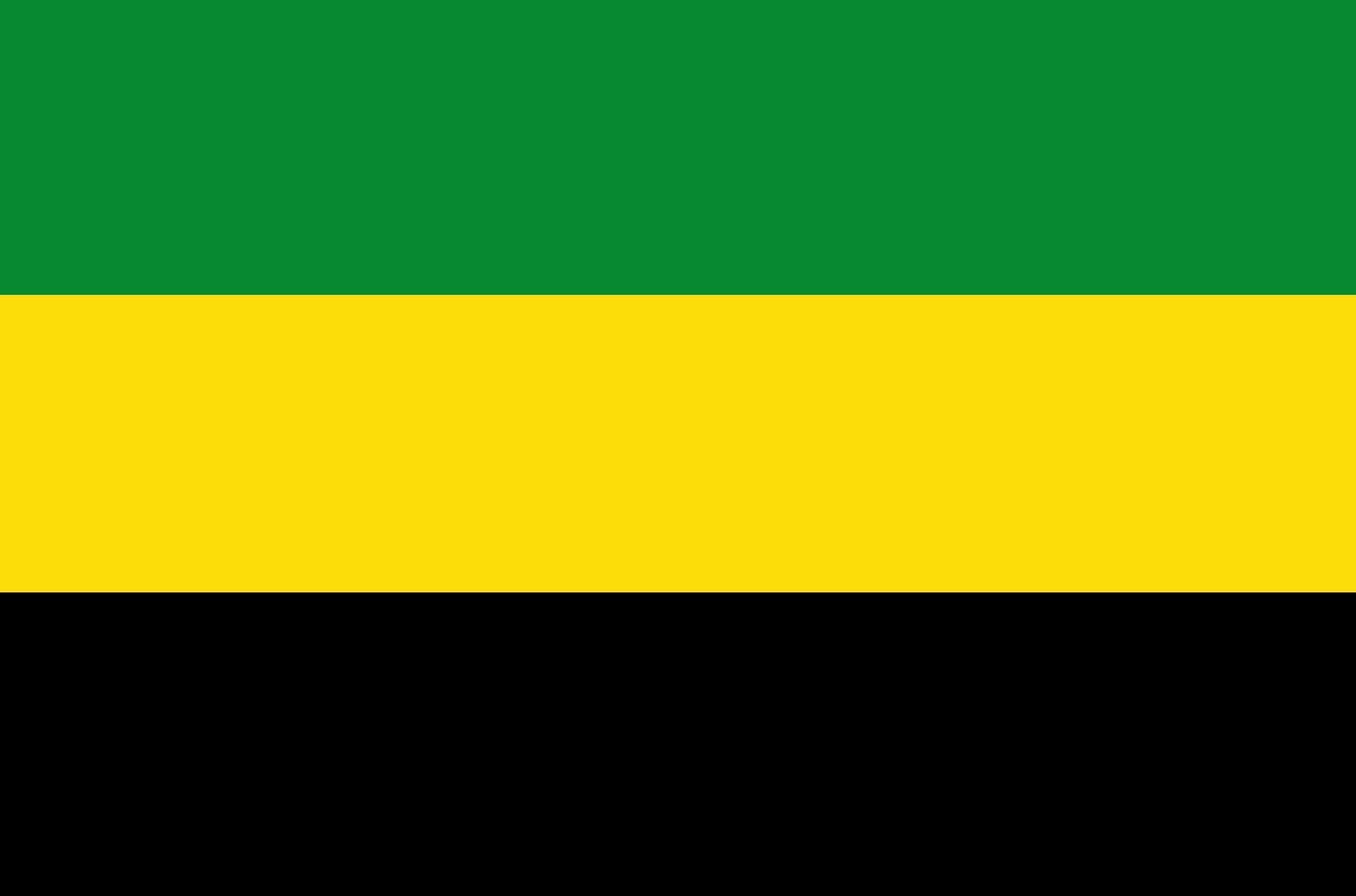 Drapeau de Schijndel du 8 avril 1960 pour reconstitution