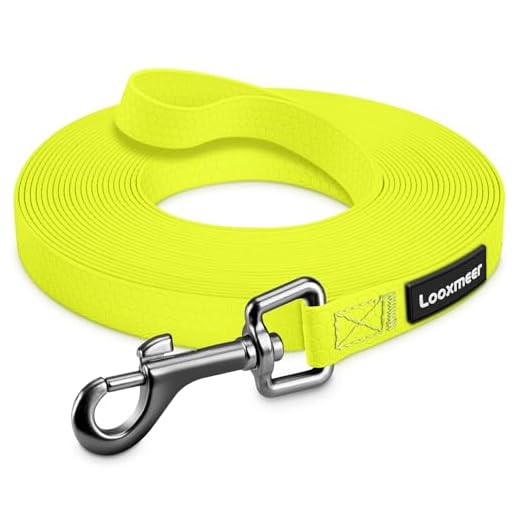 ACE2ACE Tierhaarentferner Fusselrolle, Fusselroller für Hundehaare und Katzenhaare Wiederverwendbar, Fusselbürste für Tierhaar, für Kleidung, Sofa, Bett, Teppich 8 Looxmeer Schleppleine für Hunde, 3m /5m /10m /15m /20m /25m /30m Hundeleine mit Handschlaufe und Netztasche, Wasserdicht Trainingsleine für Große Mittlere Kleine Hunde, Robuste Leine