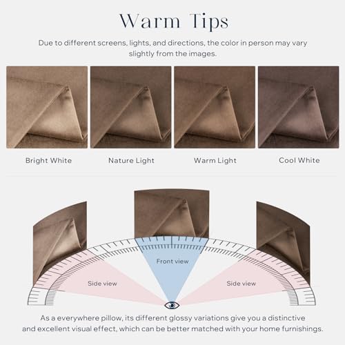 Phantoscope Pack of 2 Velvet Decorative Throw Decorative Pillow Cover Soft Solid Square Cushion Case for Couch Dark Coffee 20 x 20 inches 50 x 50 cm