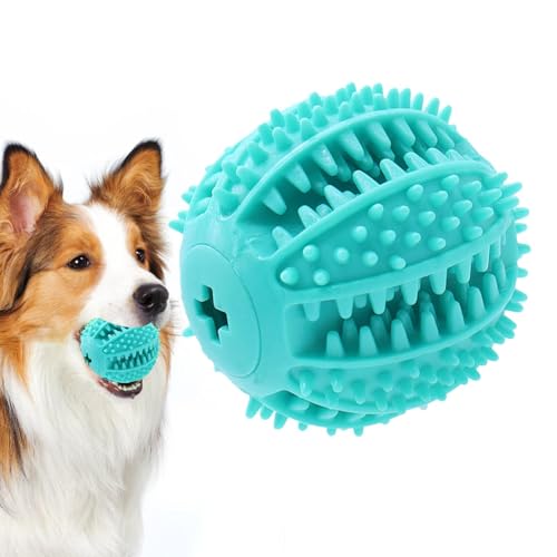 p{[A邽߂̎qpނAʔpރ{[AC^NeBuȂz{[A|[^upA^^pC^NeBuybg