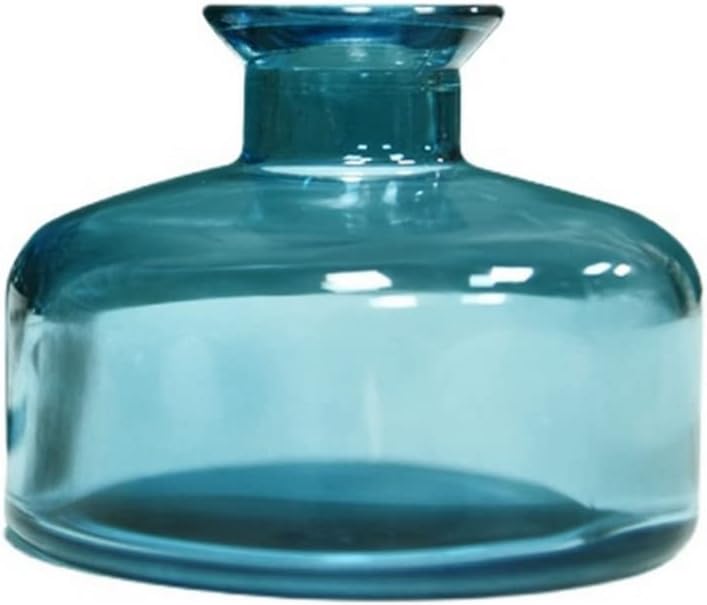 Amazon.com: ericotry 1PCS Glass Diffuser Bottle Aromatherapy Jar ...