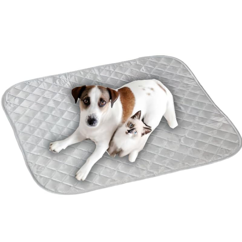Tappetino magnetico per gatti e cani di piccola taglia 50 x 50 cm