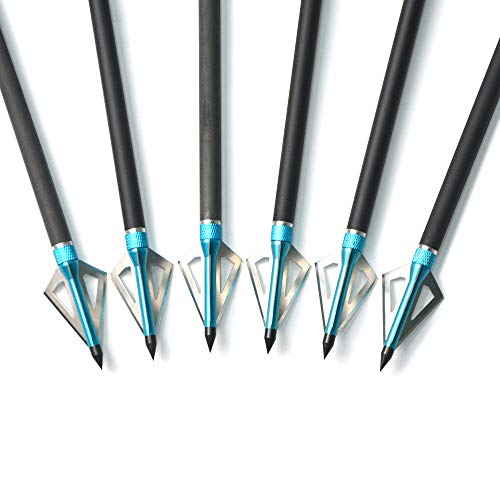 ZSHJGJR A[`F[ A[wbh K  u[hwbh {[iCt |Cg | p NX{Ep {EK On  {[iCt K ނ (, U)