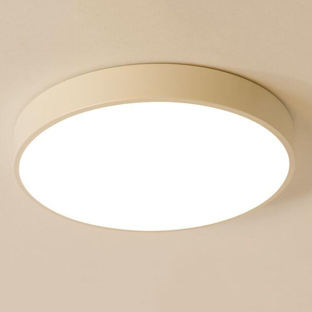 Flush Mount Ceiling Lamp Dimmable with Remote Control Light Fixture 19.7In 36W Close to Ceiling Light Modern Ultra-Thin round Ceiling Lamp for Bedroom, Kitchen, Hallway, Laundry Room(Gree/Pi