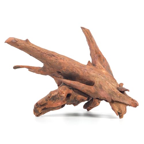 Hygger zoo ���� �����p����:�����p����:������ ���� �W�� ঒��� �� ঒��� �ۑ� �� �o�R�A�N�Z�T���[ �q���E ������ ���^�X�l�[�N�t�B�b�V���^���N�p�e�����E�� ����