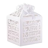 Kate Aspen Just Married Birdcage Gift Card Box, One Size, Wedding Card Box, Money Box, Wedding Decorations For Reception