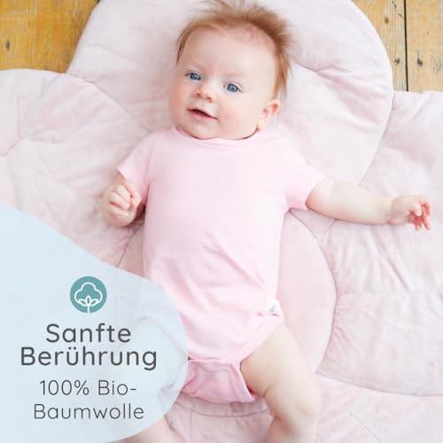 Bramble & Bear 3/6er-Pack kurzärmelige Baby-Bodys – Unisex Baby-Bodys aus Bio-Baumwolle für 0 bis 3 Jahre