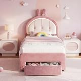 DULRLLY Cama Infantil tapizada 90 x 200 cm con Espacio de Almacenamiento y LED para niñas