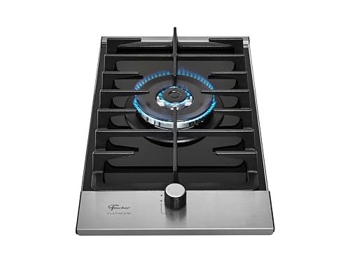 FISCHER COOKTOP À GÁS 1 BOCAS TRIPLA CHAMA PLATINIUM MESA VIDRO PRETO 33790-92104 FISCHER COOKTOP À GÁS 1 BOCAS TRIPLA CHAMA PLATINIUM MESA VIDRO PRETO 33790-92104