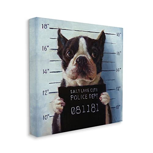 Image of Boston Terrier Mugshot Humor, 24 x 24 Inch Canvas Wall Art | Stupell Industries . By Lucia Heffernan . Ready to hang . Funny pet decor for living room or office . Made in USA