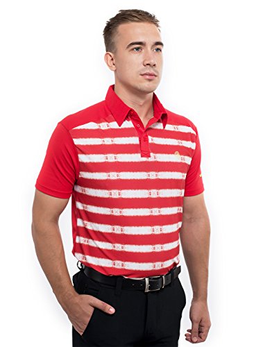 Image of TRUEREVO Sports Stretchy Dryfit Striped Golf Collar Tshirt for Men