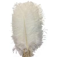 Cenfry 10PCS Ostrich Feathers 14 – 40,6 cm piume di for wedding centerpieces Home Decoration Mocassini eleganti da donna
