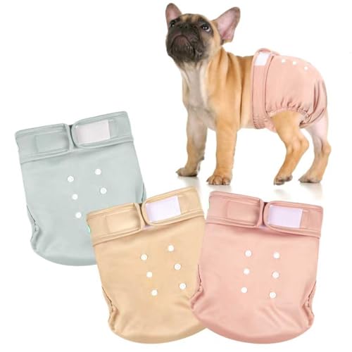wegreeco Frenchie Dog Diapers Female No Tail Hole, Washable Pet French Puppy Bulldog Diapers Female for Period Heat, Reusable Doggy Doggie Dog Diapers (Medium