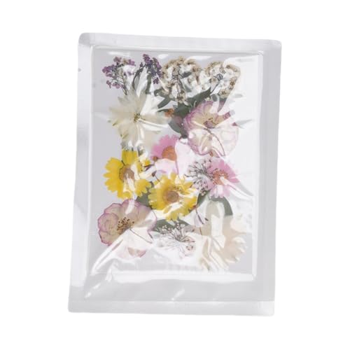 100 Flores prensadas secas para manualidades tipo 2 miniatura 5