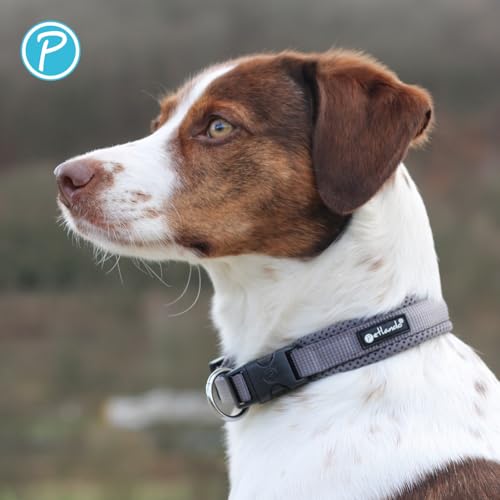 Petlando Mesh Hundehalsband – leicht, atmungsaktiv, weich mit Mesh gepolstert, stufenlos verstellbar, robust & strapazierfähig mit O-Ring – Halsband Hund M 45-50cm, Anthrazit