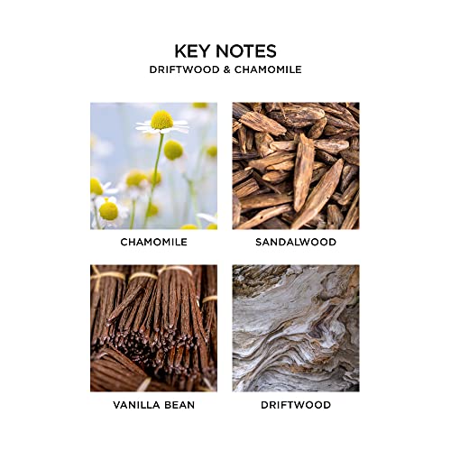 Nest Fragrances Driftwood & Chamomile Liquid Hand Soap #TOP1